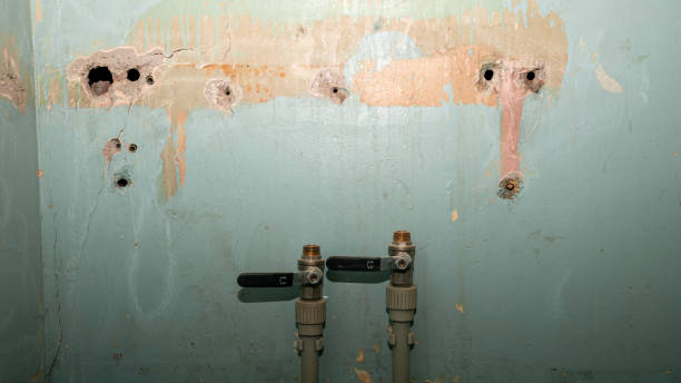 Best Flood restoration services  in Kingfisher, OK
