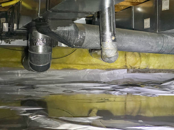 Best Professional water damage repair  in Kingfisher, OK