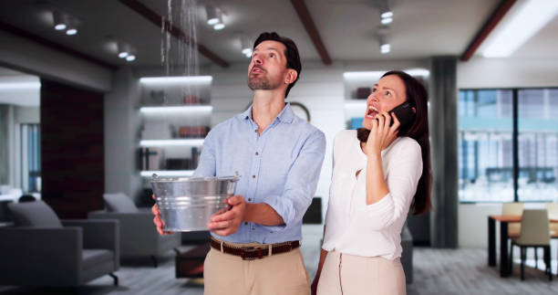Best Ceiling water damage repair  in Kingfisher, OK